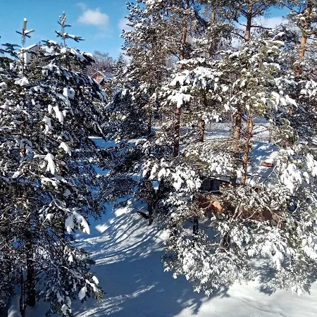 Dobra דירה זלאטיבור